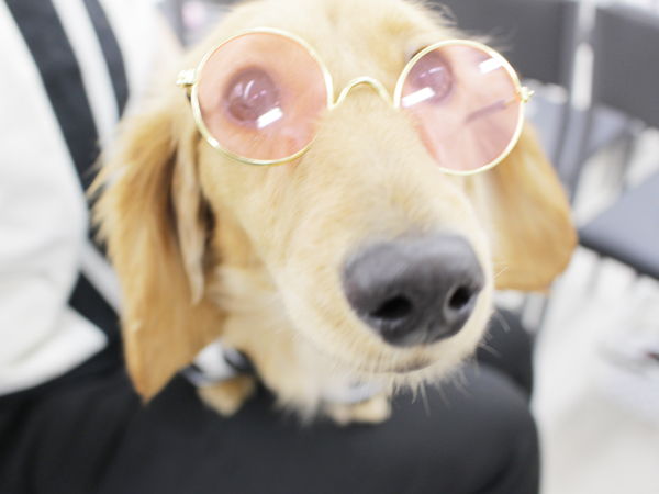 ２年生とモデル犬の写真撮影会♪～PART①～